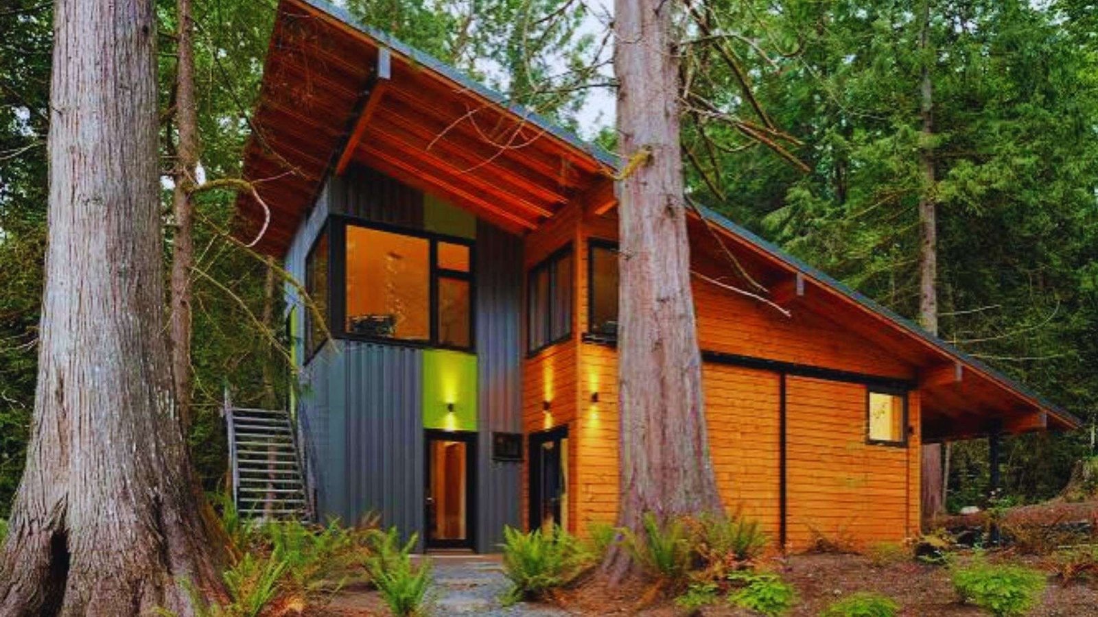 Modern wood cabin with steep sloping shed roof and lit windows among tall trees.