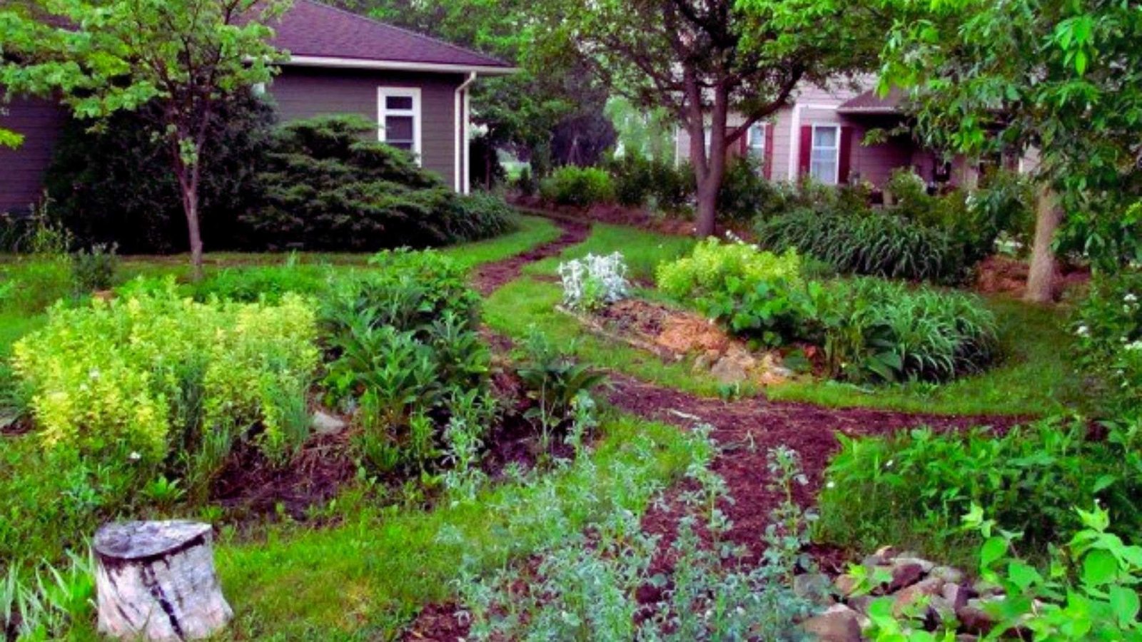 Front yard rain garden with swales and berms preventing common drainage mistakes
