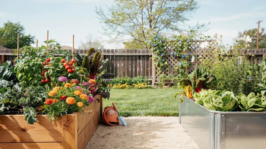 Cedar and galvanized steel raised garden beds filled with healthy vegetables, herbs, and colorful flowers in a backyard garden.