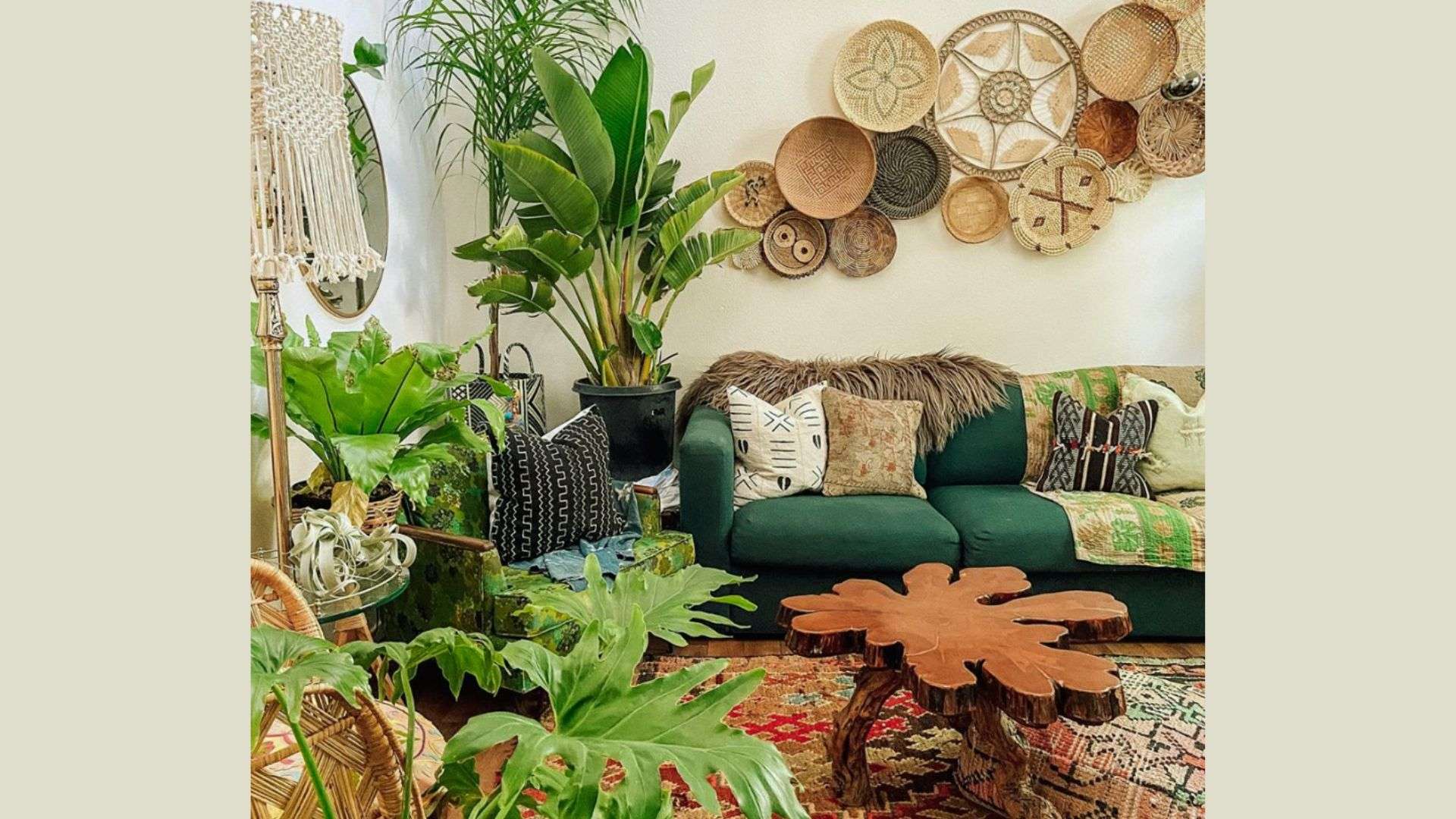 Boho tiny house filled with plants - green sofa, live-edge wood table, woven baskets and lush indoor jungle decor