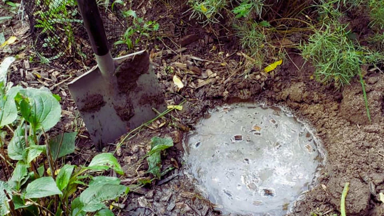 Garden drainage test with water-filled hole and shovel in mulched soil