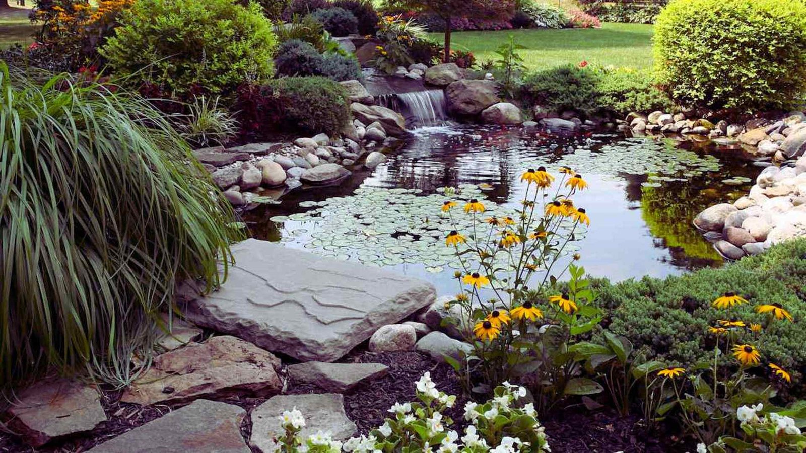 Permaculture garden pond with waterfall, rocks, and flowers serving multiple purposes