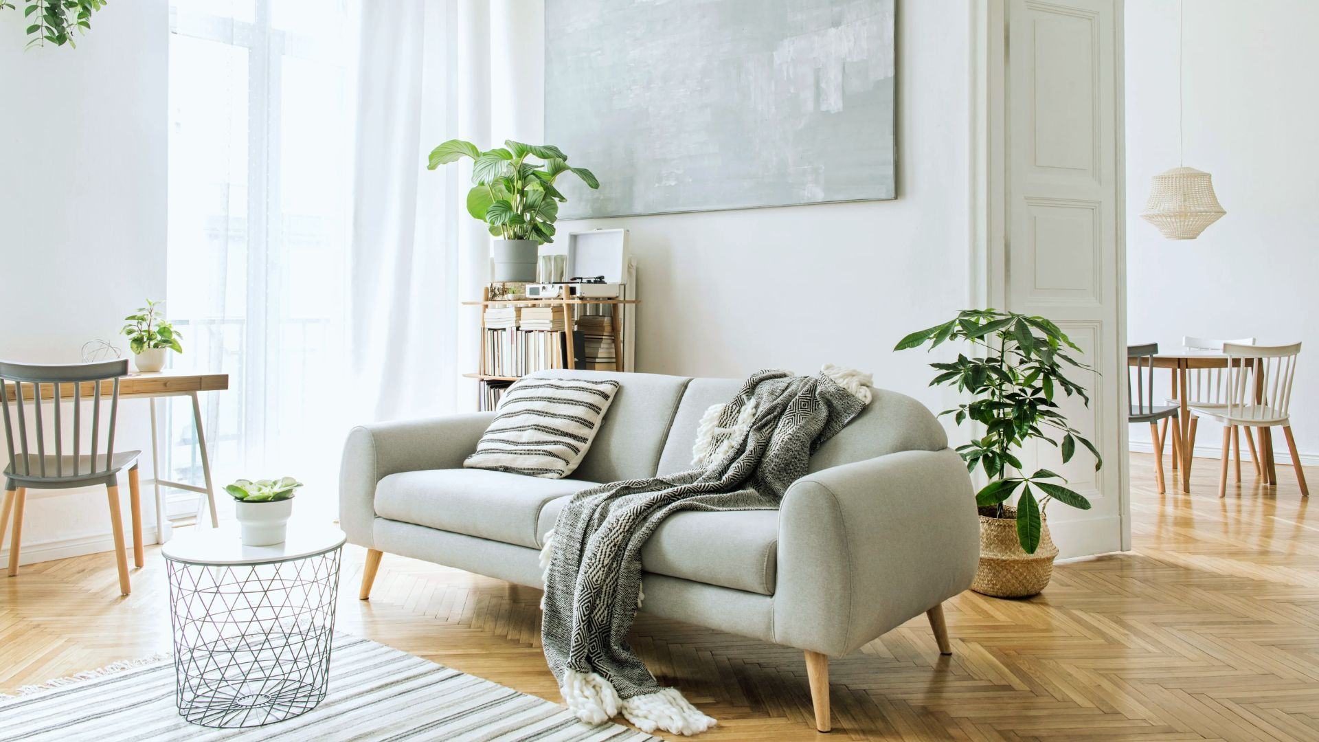 Scandinavian minimalist shed tiny house interior - bright white living room with light gray sofa and plants