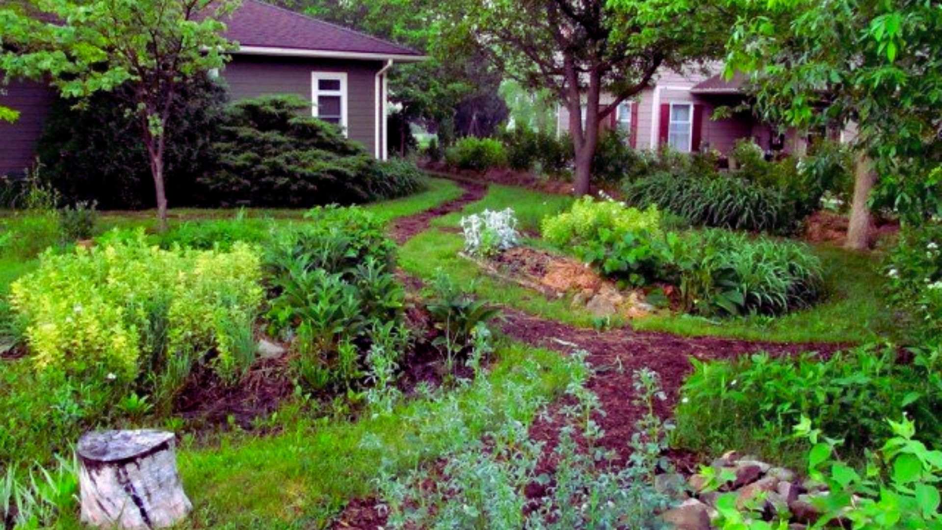 Front yard rain garden with swales and berms preventing common drainage mistakes