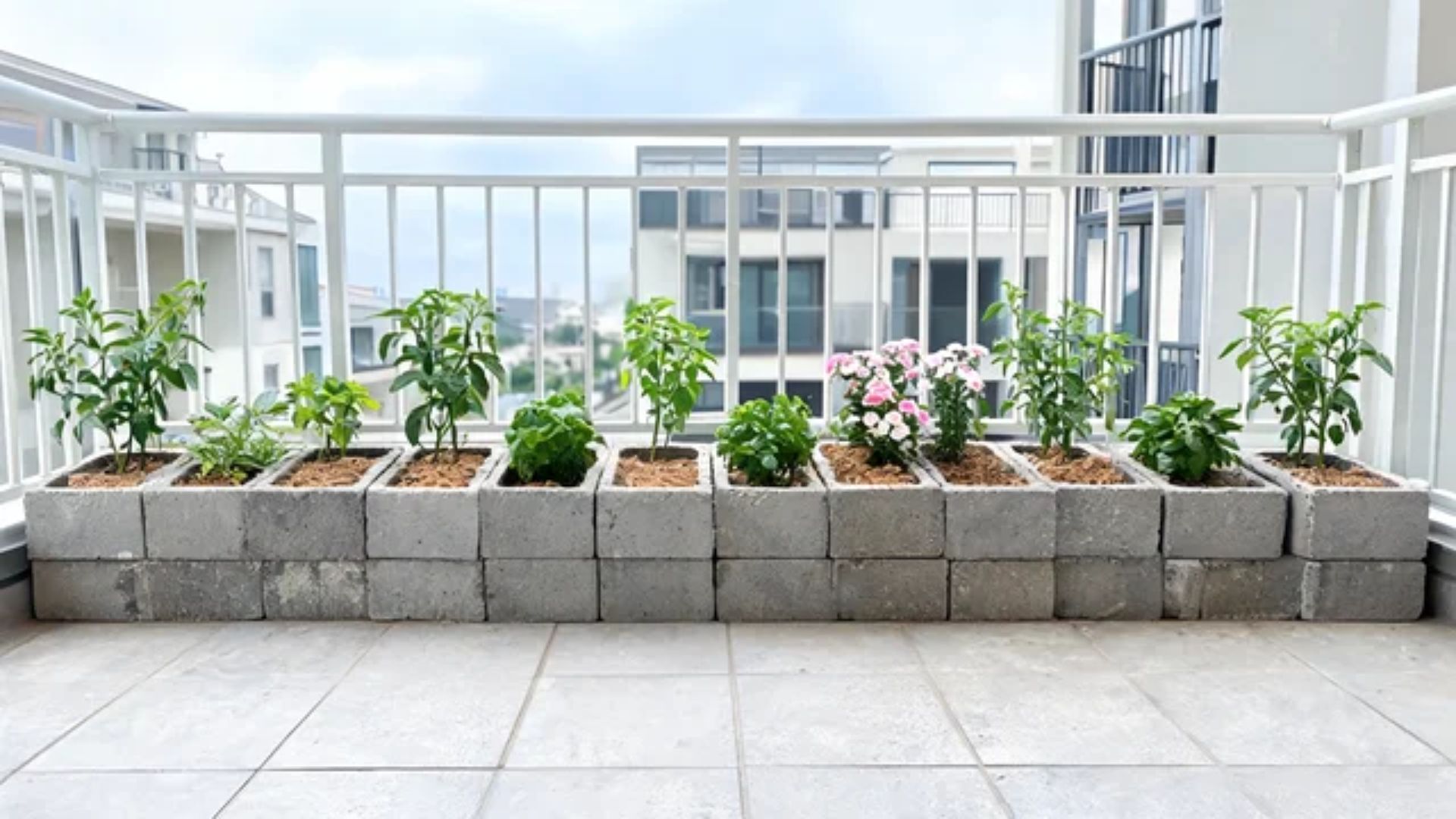 Single-row cinder block planter box on a balcony with peppers, herbs, and small flowers in potting mixFile name-balcony-cinder-block-planter-box