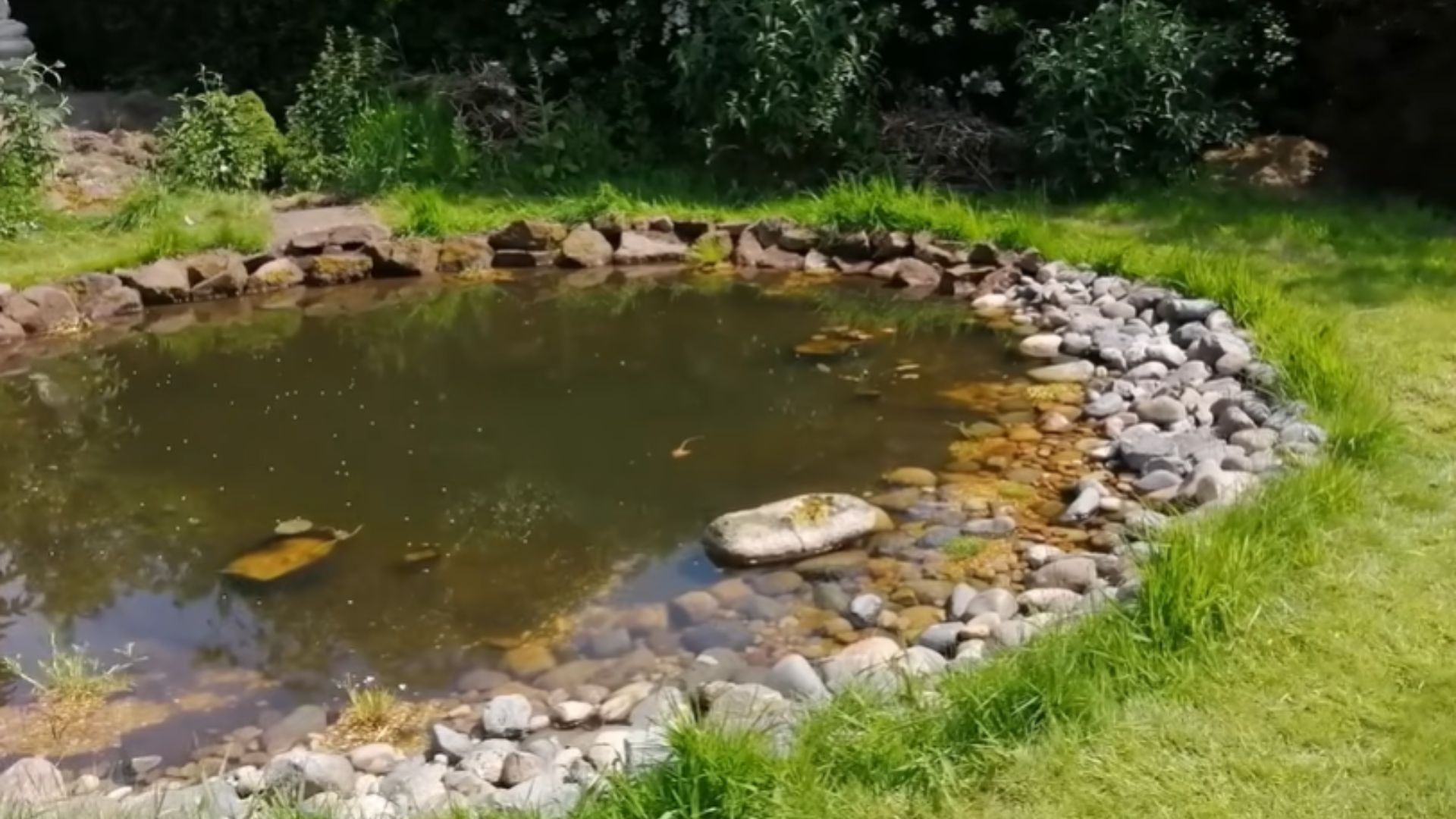 Garden pond with a rock border, pebble shallows, a large stone in the water, and grass and shrubs along the bankFile name-natural-pond-pebble-shallows-rock-edge