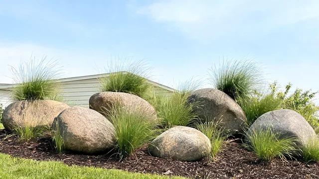 Rounded river boulders with clumps of ornamental grass planted beside them in a front yard bedFile name-boulders-ornamental-grasses-bed