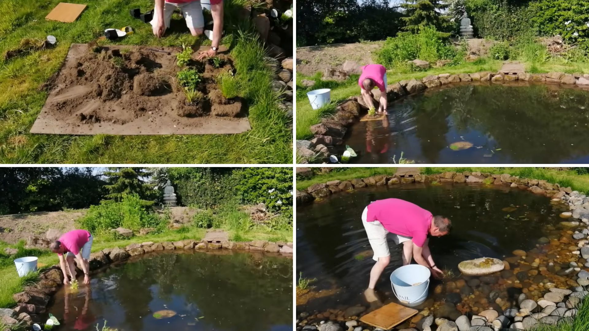 Four photos of a person in a pink shirt placing plants into soil on a board and at the edge of a rock-lined pond